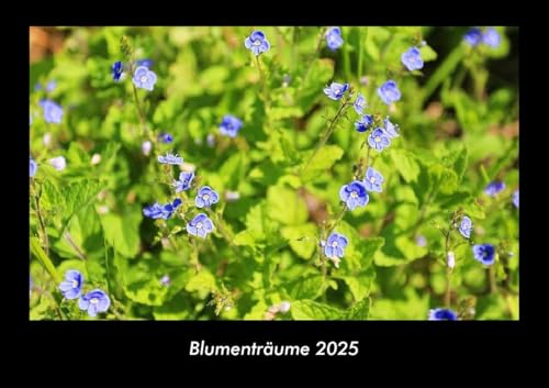 Blumenträume 2025 Fotokalender DIN A3: Monatskalender mit Bild-Motiven aus Fauna und Flora, Natur, Blumen und Pflanzen Blumenträume 2025 Fotokalender DIN A3: Monatskalender mit Bild-Motiven aus Fauna und Flora, Natur, Blumen und Pflanzen