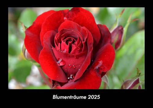 Blumenträume 2025 Fotokalender DIN A3: Monatskalender mit Bild-Motiven aus Fauna und Flora, Natur, Blumen und Pflanzen Blumenträume 2025 Fotokalender DIN A3: Monatskalender mit Bild-Motiven aus Fauna und Flora, Natur, Blumen und Pflanzen