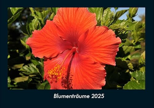 Blumenträume 2025 Fotokalender DIN A4: Monatskalender mit Bild-Motiven aus Fauna und Flora, Natur, Blumen und Pflanzen Blumenträume 2025 Fotokalender DIN A4: Monatskalender mit Bild-Motiven aus Fauna und Flora, Natur, Blumen und Pflanzen
