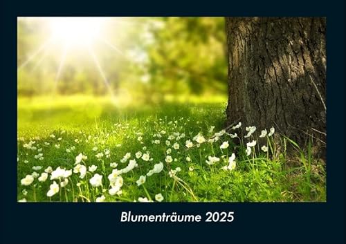 Blumenträume 2025 Fotokalender DIN A4: Monatskalender mit Bild-Motiven aus Fauna und Flora, Natur, Blumen und Pflanzen Blumenträume 2025 Fotokalender DIN A4: Monatskalender mit Bild-Motiven aus Fauna und Flora, Natur, Blumen und Pflanzen