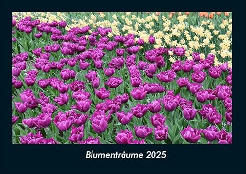 Blumenträume 2025 Fotokalender DIN A4: Monatskalender mit Bild-Motiven aus Fauna und Flora, Natur, Blumen und Pflanzen Blumenträume 2025 Fotokalender DIN A4: Monatskalender mit Bild-Motiven aus Fauna und Flora, Natur, Blumen und Pflanzen