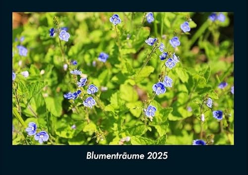 Blumenträume 2025 Fotokalender DIN A4: Monatskalender mit Bild-Motiven aus Fauna und Flora, Natur, Blumen und Pflanzen Blumenträume 2025 Fotokalender DIN A4: Monatskalender mit Bild-Motiven aus Fauna und Flora, Natur, Blumen und Pflanzen