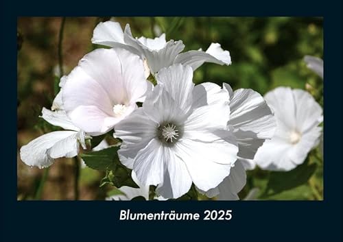 Blumenträume 2025 Fotokalender DIN A4: Monatskalender mit Bild-Motiven aus Fauna und Flora, Natur, Blumen und Pflanzen Blumenträume 2025 Fotokalender DIN A4: Monatskalender mit Bild-Motiven aus Fauna und Flora, Natur, Blumen und Pflanzen