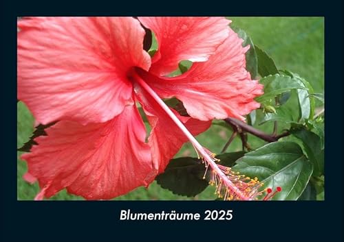 Blumenträume 2025 Fotokalender DIN A4: Monatskalender mit Bild-Motiven aus Fauna und Flora, Natur, Blumen und Pflanzen Blumenträume 2025 Fotokalender DIN A4: Monatskalender mit Bild-Motiven aus Fauna und Flora, Natur, Blumen und Pflanzen