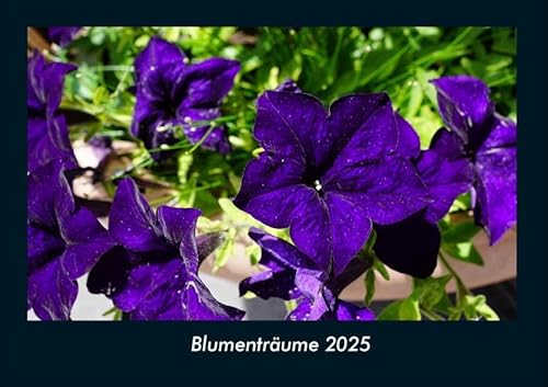 Blumenträume 2025 Fotokalender DIN A4: Monatskalender mit Bild-Motiven aus Fauna und Flora, Natur, Blumen und Pflanzen Blumenträume 2025 Fotokalender DIN A4: Monatskalender mit Bild-Motiven aus Fauna und Flora, Natur, Blumen und Pflanzen