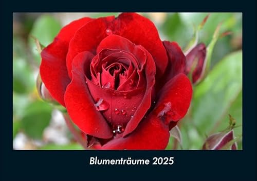 Blumenträume 2025 Fotokalender DIN A4: Monatskalender mit Bild-Motiven aus Fauna und Flora, Natur, Blumen und Pflanzen Blumenträume 2025 Fotokalender DIN A4: Monatskalender mit Bild-Motiven aus Fauna und Flora, Natur, Blumen und Pflanzen