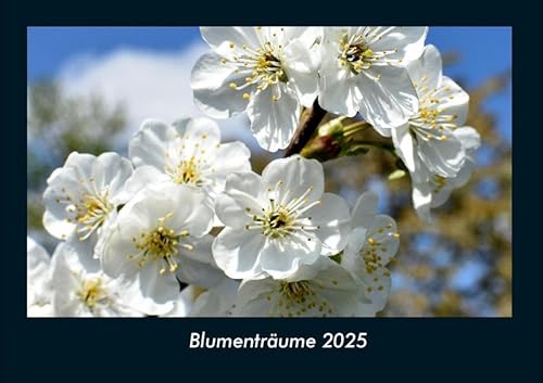 Blumenträume 2025 Fotokalender DIN A4: Monatskalender mit Bild-Motiven aus Fauna und Flora, Natur, Blumen und Pflanzen Blumenträume 2025 Fotokalender DIN A4: Monatskalender mit Bild-Motiven aus Fauna und Flora, Natur, Blumen und Pflanzen