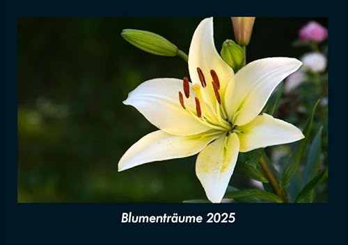 Blumenträume 2025 Fotokalender DIN A4: Monatskalender mit Bild-Motiven aus Fauna und Flora, Natur, Blumen und Pflanzen Blumenträume 2025 Fotokalender DIN A4: Monatskalender mit Bild-Motiven aus Fauna und Flora, Natur, Blumen und Pflanzen