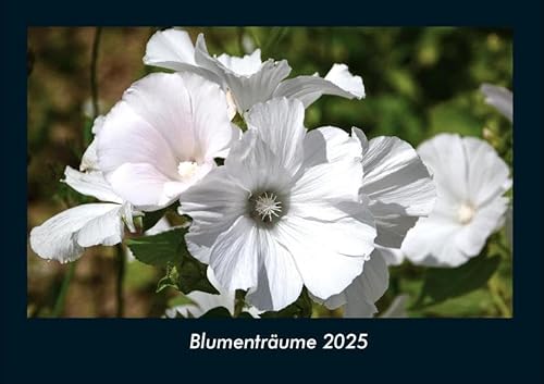 Blumenträume 2025 Fotokalender DIN A4: Monatskalender mit Bild-Motiven aus Fauna und Flora, Natur, Blumen und Pflanzen Blumenträume 2025 Fotokalender DIN A4: Monatskalender mit Bild-Motiven aus Fauna und Flora, Natur, Blumen und Pflanzen