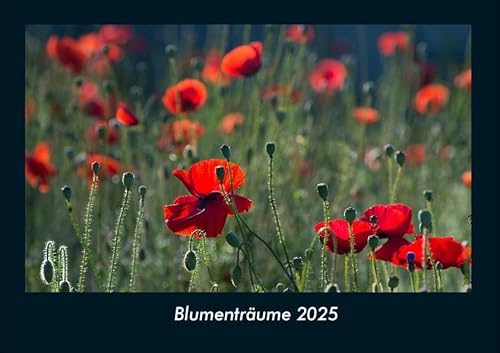 Blumenträume 2025 Fotokalender DIN A4: Monatskalender mit Bild-Motiven aus Fauna und Flora, Natur, Blumen und Pflanzen Blumenträume 2025 Fotokalender DIN A4: Monatskalender mit Bild-Motiven aus Fauna und Flora, Natur, Blumen und Pflanzen