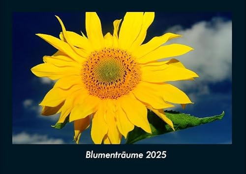 Blumenträume 2025 Fotokalender DIN A4: Monatskalender mit Bild-Motiven aus Fauna und Flora, Natur, Blumen und Pflanzen Blumenträume 2025 Fotokalender DIN A4: Monatskalender mit Bild-Motiven aus Fauna und Flora, Natur, Blumen und Pflanzen