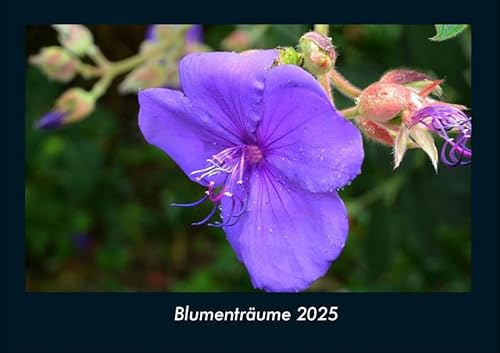 Blumenträume 2025 Fotokalender DIN A4: Monatskalender mit Bild-Motiven aus Fauna und Flora, Natur, Blumen und Pflanzen Blumenträume 2025 Fotokalender DIN A4: Monatskalender mit Bild-Motiven aus Fauna und Flora, Natur, Blumen und Pflanzen