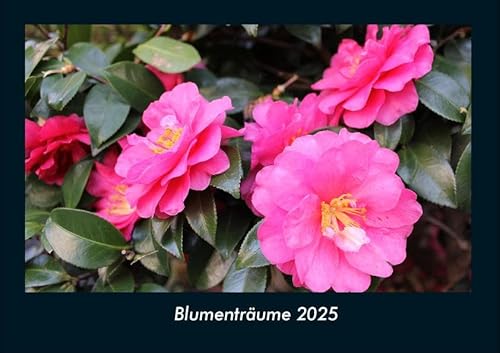 Blumenträume 2025 Fotokalender DIN A4: Monatskalender mit Bild-Motiven aus Fauna und Flora, Natur, Blumen und Pflanzen Blumenträume 2025 Fotokalender DIN A4: Monatskalender mit Bild-Motiven aus Fauna und Flora, Natur, Blumen und Pflanzen