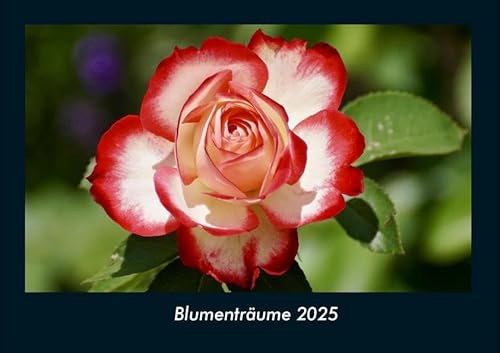 Blumenträume 2025 Fotokalender DIN A4: Monatskalender mit Bild-Motiven aus Fauna und Flora, Natur, Blumen und Pflanzen Blumenträume 2025 Fotokalender DIN A4: Monatskalender mit Bild-Motiven aus Fauna und Flora, Natur, Blumen und Pflanzen
