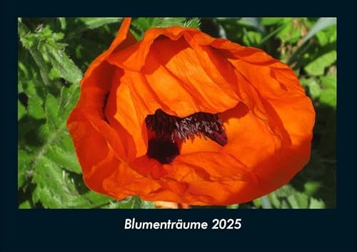 Blumenträume 2025 Fotokalender DIN A4: Monatskalender mit Bild-Motiven aus Fauna und Flora, Natur, Blumen und Pflanzen Blumenträume 2025 Fotokalender DIN A4: Monatskalender mit Bild-Motiven aus Fauna und Flora, Natur, Blumen und Pflanzen