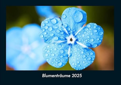 Blumenträume 2025 Fotokalender DIN A4: Monatskalender mit Bild-Motiven aus Fauna und Flora, Natur, Blumen und Pflanzen Blumenträume 2025 Fotokalender DIN A4: Monatskalender mit Bild-Motiven aus Fauna und Flora, Natur, Blumen und Pflanzen