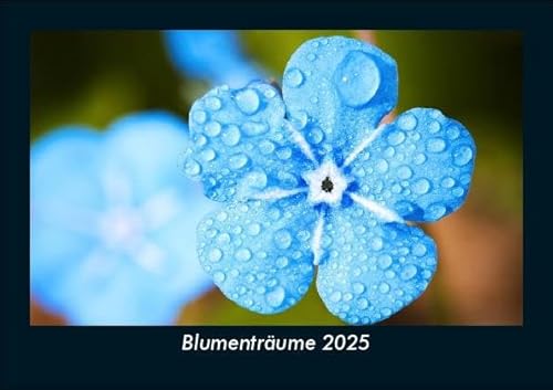 Blumenträume 2025 Fotokalender DIN A5: Monatskalender mit Bild-Motiven aus Fauna und Flora, Natur, Blumen und Pflanzen Blumenträume 2025 Fotokalender DIN A5: Monatskalender mit Bild-Motiven aus Fauna und Flora, Natur, Blumen und Pflanzen