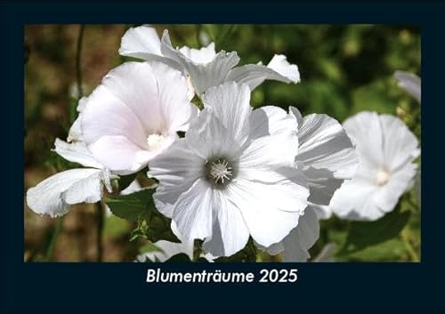 Blumenträume 2025 Fotokalender DIN A5: Monatskalender mit Bild-Motiven aus Fauna und Flora, Natur, Blumen und Pflanzen Blumenträume 2025 Fotokalender DIN A5: Monatskalender mit Bild-Motiven aus Fauna und Flora, Natur, Blumen und Pflanzen