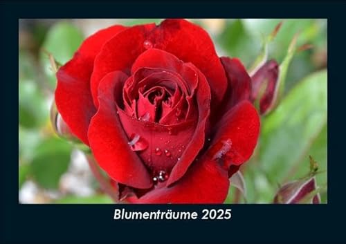 Blumenträume 2025 Fotokalender DIN A5: Monatskalender mit Bild-Motiven aus Fauna und Flora, Natur, Blumen und Pflanzen Blumenträume 2025 Fotokalender DIN A5: Monatskalender mit Bild-Motiven aus Fauna und Flora, Natur, Blumen und Pflanzen