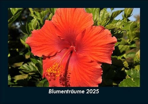Blumenträume 2025 Fotokalender DIN A5: Monatskalender mit Bild-Motiven aus Fauna und Flora, Natur, Blumen und Pflanzen Blumenträume 2025 Fotokalender DIN A5: Monatskalender mit Bild-Motiven aus Fauna und Flora, Natur, Blumen und Pflanzen