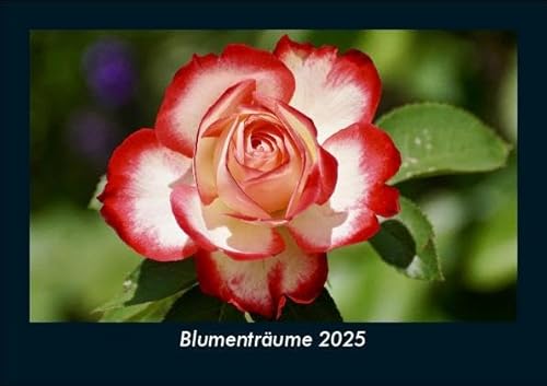 Blumenträume 2025 Fotokalender DIN A5: Monatskalender mit Bild-Motiven aus Fauna und Flora, Natur, Blumen und Pflanzen Blumenträume 2025 Fotokalender DIN A5: Monatskalender mit Bild-Motiven aus Fauna und Flora, Natur, Blumen und Pflanzen