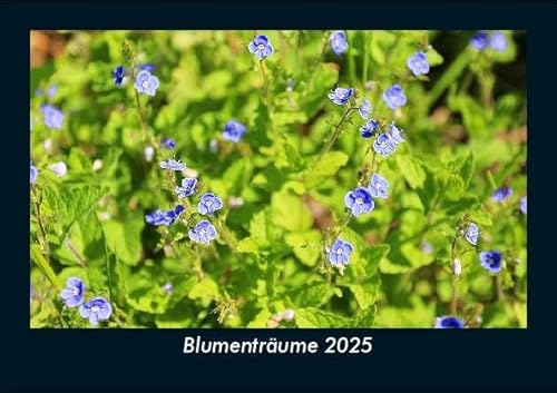 Blumenträume 2025 Fotokalender DIN A5: Monatskalender mit Bild-Motiven aus Fauna und Flora, Natur, Blumen und Pflanzen Blumenträume 2025 Fotokalender DIN A5: Monatskalender mit Bild-Motiven aus Fauna und Flora, Natur, Blumen und Pflanzen