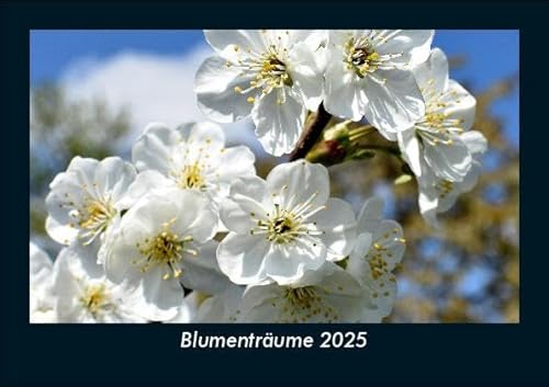 Blumenträume 2025 Fotokalender DIN A5: Monatskalender mit Bild-Motiven aus Fauna und Flora, Natur, Blumen und Pflanzen Blumenträume 2025 Fotokalender DIN A5: Monatskalender mit Bild-Motiven aus Fauna und Flora, Natur, Blumen und Pflanzen