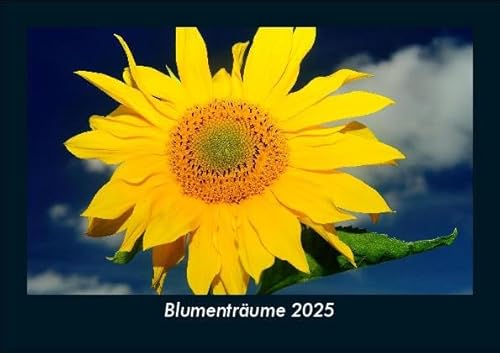 Blumenträume 2025 Fotokalender DIN A5: Monatskalender mit Bild-Motiven aus Fauna und Flora, Natur, Blumen und Pflanzen Blumenträume 2025 Fotokalender DIN A5: Monatskalender mit Bild-Motiven aus Fauna und Flora, Natur, Blumen und Pflanzen
