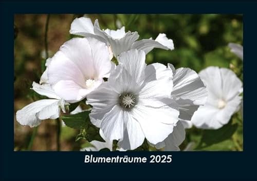 Blumenträume 2025 Fotokalender DIN A5: Monatskalender mit Bild-Motiven aus Fauna und Flora, Natur, Blumen und Pflanzen Blumenträume 2025 Fotokalender DIN A5: Monatskalender mit Bild-Motiven aus Fauna und Flora, Natur, Blumen und Pflanzen