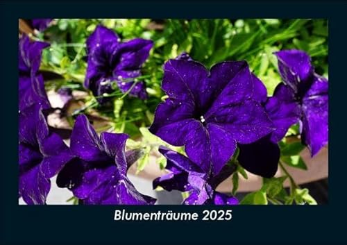 Blumenträume 2025 Fotokalender DIN A5: Monatskalender mit Bild-Motiven aus Fauna und Flora, Natur, Blumen und Pflanzen Blumenträume 2025 Fotokalender DIN A5: Monatskalender mit Bild-Motiven aus Fauna und Flora, Natur, Blumen und Pflanzen