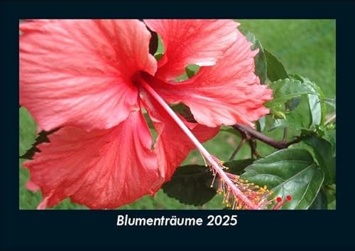 Blumenträume 2025 Fotokalender DIN A5: Monatskalender mit Bild-Motiven aus Fauna und Flora, Natur, Blumen und Pflanzen Blumenträume 2025 Fotokalender DIN A5: Monatskalender mit Bild-Motiven aus Fauna und Flora, Natur, Blumen und Pflanzen