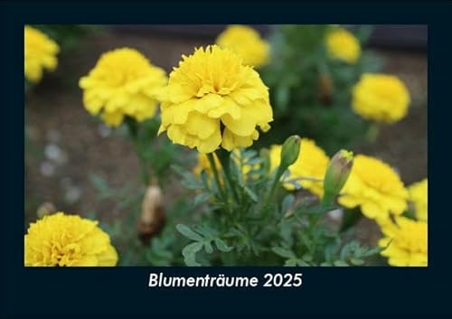 Blumenträume 2025 Fotokalender DIN A5: Monatskalender mit Bild-Motiven aus Fauna und Flora, Natur, Blumen und Pflanzen Blumenträume 2025 Fotokalender DIN A5: Monatskalender mit Bild-Motiven aus Fauna und Flora, Natur, Blumen und Pflanzen