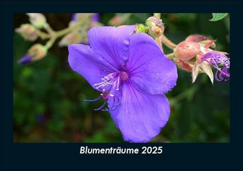Blumenträume 2025 Fotokalender DIN A5: Monatskalender mit Bild-Motiven aus Fauna und Flora, Natur, Blumen und Pflanzen Blumenträume 2025 Fotokalender DIN A5: Monatskalender mit Bild-Motiven aus Fauna und Flora, Natur, Blumen und Pflanzen
