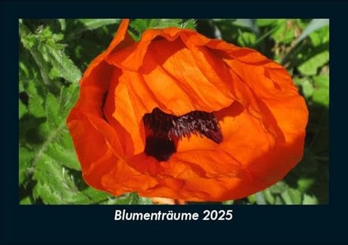 Blumenträume 2025 Fotokalender DIN A5: Monatskalender mit Bild-Motiven aus Fauna und Flora, Natur, Blumen und Pflanzen Blumenträume 2025 Fotokalender DIN A5: Monatskalender mit Bild-Motiven aus Fauna und Flora, Natur, Blumen und Pflanzen
