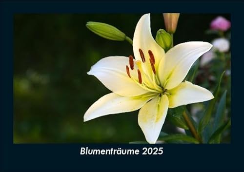 Blumenträume 2025 Fotokalender DIN A5: Monatskalender mit Bild-Motiven aus Fauna und Flora, Natur, Blumen und Pflanzen Blumenträume 2025 Fotokalender DIN A5: Monatskalender mit Bild-Motiven aus Fauna und Flora, Natur, Blumen und Pflanzen