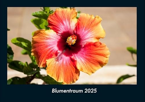 Blumentraum 2025 Fotokalender DIN A4: Monatskalender mit Bild-Motiven aus Fauna und Flora, Natur, Blumen und Pflanzen Blumentraum 2025 Fotokalender DIN A4: Monatskalender mit Bild-Motiven aus Fauna und Flora, Natur, Blumen und Pflanzen