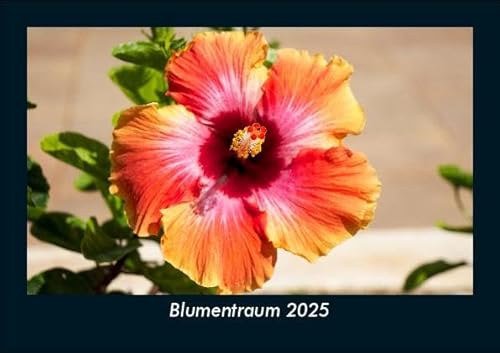 Blumentraum 2025 Fotokalender DIN A5: Monatskalender mit Bild-Motiven aus Fauna und Flora, Natur, Blumen und Pflanzen Blumentraum 2025 Fotokalender DIN A5: Monatskalender mit Bild-Motiven aus Fauna und Flora, Natur, Blumen und Pflanzen
