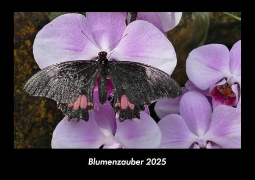 Blumenzauber 2025 Fotokalender DIN A3: Monatskalender mit Bild-Motiven aus Fauna und Flora, Natur, Blumen und Pflanzen Blumenzauber 2025 Fotokalender DIN A3: Monatskalender mit Bild-Motiven aus Fauna und Flora, Natur, Blumen und Pflanzen