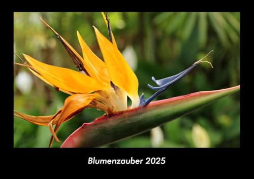 Blumenzauber 2025 Fotokalender DIN A3: Monatskalender mit Bild-Motiven aus Fauna und Flora, Natur, Blumen und Pflanzen Blumenzauber 2025 Fotokalender DIN A3: Monatskalender mit Bild-Motiven aus Fauna und Flora, Natur, Blumen und Pflanzen