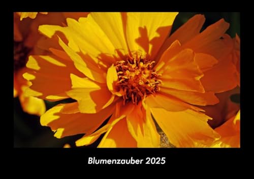 Blumenzauber 2025 Fotokalender DIN A3: Monatskalender mit Bild-Motiven aus Fauna und Flora, Natur, Blumen und Pflanzen Blumenzauber 2025 Fotokalender DIN A3: Monatskalender mit Bild-Motiven aus Fauna und Flora, Natur, Blumen und Pflanzen