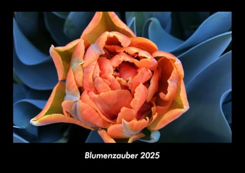 Blumenzauber 2025 Fotokalender DIN A3: Monatskalender mit Bild-Motiven aus Fauna und Flora, Natur, Blumen und Pflanzen Blumenzauber 2025 Fotokalender DIN A3: Monatskalender mit Bild-Motiven aus Fauna und Flora, Natur, Blumen und Pflanzen