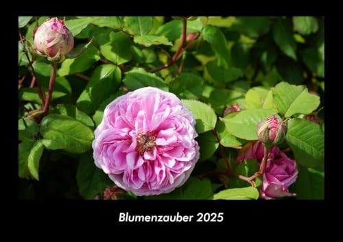Blumenzauber 2025 Fotokalender DIN A3: Monatskalender mit Bild-Motiven aus Fauna und Flora, Natur, Blumen und Pflanzen Blumenzauber 2025 Fotokalender DIN A3: Monatskalender mit Bild-Motiven aus Fauna und Flora, Natur, Blumen und Pflanzen von Vero Kalender