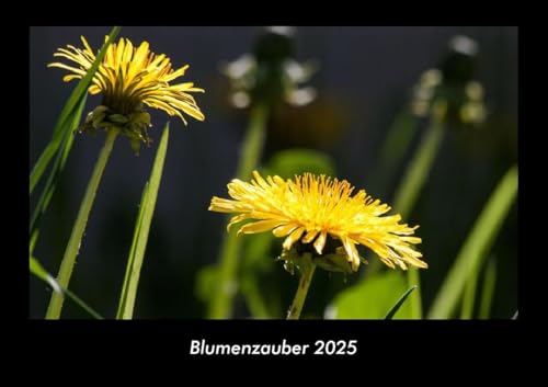 Blumenzauber 2025 Fotokalender DIN A3: Monatskalender mit Bild-Motiven aus Fauna und Flora, Natur, Blumen und Pflanzen Blumenzauber 2025 Fotokalender DIN A3: Monatskalender mit Bild-Motiven aus Fauna und Flora, Natur, Blumen und Pflanzen