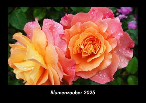 Blumenzauber 2025 Fotokalender DIN A3: Monatskalender mit Bild-Motiven aus Fauna und Flora, Natur, Blumen und Pflanzen Blumenzauber 2025 Fotokalender DIN A3: Monatskalender mit Bild-Motiven aus Fauna und Flora, Natur, Blumen und Pflanzen von Vero Kalender