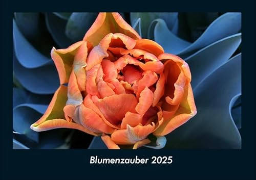 Blumenzauber 2025 Fotokalender DIN A4: Monatskalender mit Bild-Motiven aus Fauna und Flora, Natur, Blumen und Pflanzen Blumenzauber 2025 Fotokalender DIN A4: Monatskalender mit Bild-Motiven aus Fauna und Flora, Natur, Blumen und Pflanzen