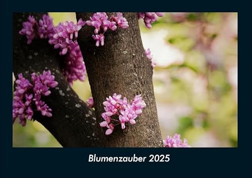 Blumenzauber 2025 Fotokalender DIN A4: Monatskalender mit Bild-Motiven aus Fauna und Flora, Natur, Blumen und Pflanzen Blumenzauber 2025 Fotokalender DIN A4: Monatskalender mit Bild-Motiven aus Fauna und Flora, Natur, Blumen und Pflanzen