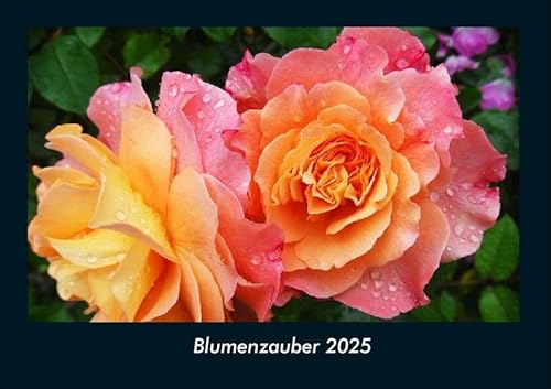 Blumenzauber 2025 Fotokalender DIN A4: Monatskalender mit Bild-Motiven aus Fauna und Flora, Natur, Blumen und Pflanzen Blumenzauber 2025 Fotokalender DIN A4: Monatskalender mit Bild-Motiven aus Fauna und Flora, Natur, Blumen und Pflanzen