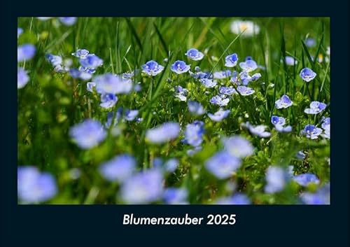 Blumenzauber 2025 Fotokalender DIN A4: Monatskalender mit Bild-Motiven aus Fauna und Flora, Natur, Blumen und Pflanzen Blumenzauber 2025 Fotokalender DIN A4: Monatskalender mit Bild-Motiven aus Fauna und Flora, Natur, Blumen und Pflanzen