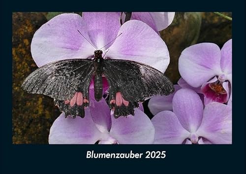 Blumenzauber 2025 Fotokalender DIN A4: Monatskalender mit Bild-Motiven aus Fauna und Flora, Natur, Blumen und Pflanzen Blumenzauber 2025 Fotokalender DIN A4: Monatskalender mit Bild-Motiven aus Fauna und Flora, Natur, Blumen und Pflanzen
