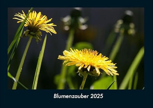 Blumenzauber 2025 Fotokalender DIN A4: Monatskalender mit Bild-Motiven aus Fauna und Flora, Natur, Blumen und Pflanzen Blumenzauber 2025 Fotokalender DIN A4: Monatskalender mit Bild-Motiven aus Fauna und Flora, Natur, Blumen und Pflanzen